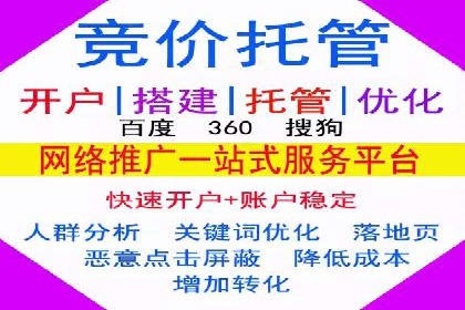 SEM竞价推广案例：电商行业成功案例解析
